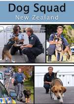 Watch Dog Squad Sflix