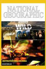 Watch Destination Wild: Colombia Sflix