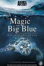 Watch The Magic of the Big Blue Sflix