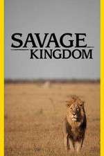 Watch Savage Kingdom Sflix