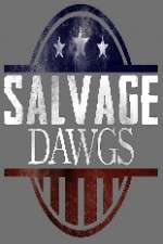 Watch Salvage Dawgs Sflix