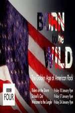 Watch Born to Be Wild: The Golden Age of American Rock Sflix