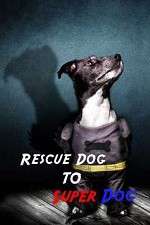 Watch Rescue Dog to Super Dog Sflix