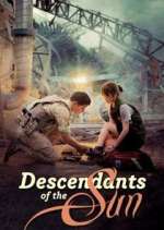 Watch Descendants of the Sun Sflix