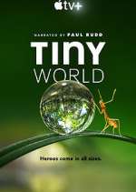 Watch Tiny World Sflix