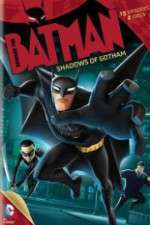 Watch Beware the Batman: Shadows of Gotham Sflix