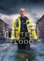 Watch After the Flood Sflix