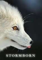 Watch Stormborn Sflix