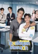Watch My Stubborn Sflix