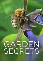 Watch Garden Secrets Sflix