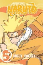 naruto tv poster