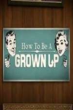 Watch How to be a Grown Up Sflix
