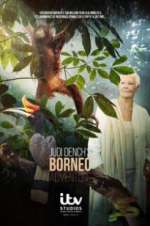Watch Judi Dench\'s Wild Borneo Adventure Sflix