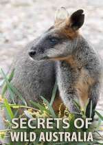 Watch Secrets of Wild Australia Sflix