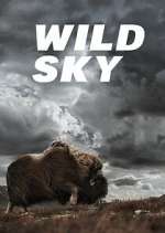 Watch Wild Sky Sflix