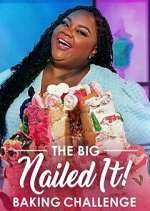 Watch The Big Nailed It! Baking Challenge Sflix