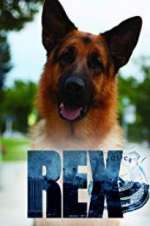 hudson & rex tv poster