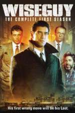 Watch WiseGuy Sflix