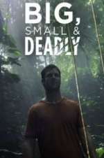 Watch Big, Small & Deadly Sflix