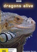Watch Dragons Alive Sflix