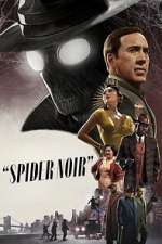 Watch Spider-Noir Sflix