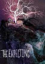 Watch The Expecting Sflix