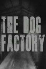 Watch The Dog Factory Sflix