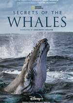 Watch Secrets of the Whales Sflix