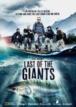 Watch Last of the Giants: Wild Fish Sflix