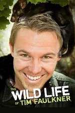 Watch The Wild Life of Tim Faulkner Sflix