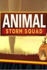 Watch Animal Storm Squad Sflix