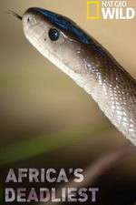 Watch Africas Deadliest Sflix