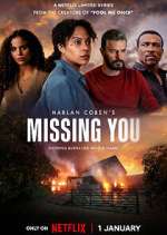 Watch Missing You Sflix