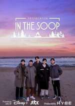 Watch In the Soop : Friendcation Sflix