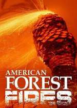 Watch American Forest Fires: The Untold Story Sflix