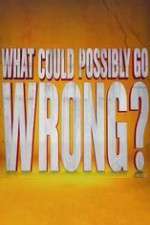 Watch What Could Possibly Go Wrong Sflix