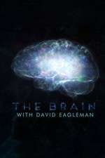 Watch The Brain with Dr David Eagleman Sflix