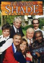 Watch Evening Shade Sflix