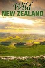 Watch Wild New Zealand Sflix