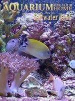 Aquarium for Your Home: Saltwater Reef