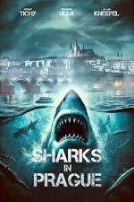 Sharks in Prague-hd