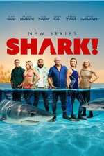 Shark!